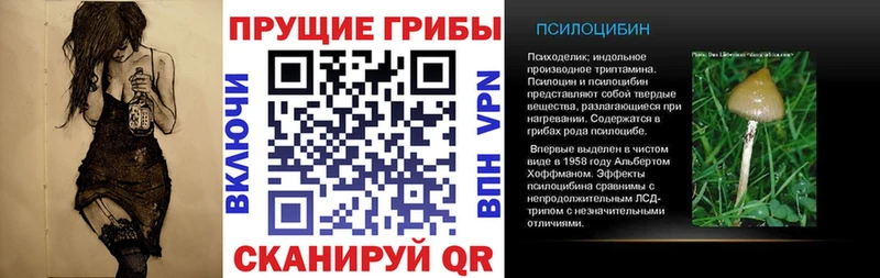 Псилоцибиновые грибы мухоморы  наркотики  Кувшиново 